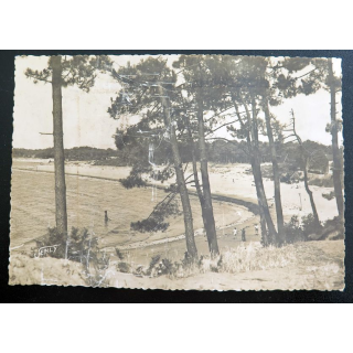 Carte postale n° 303 Saint-Brévin Paysage dans les pins 1950