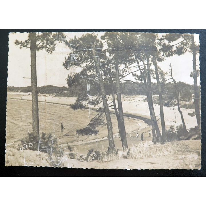 Carte postale n° 303 Saint-Brévin Paysage dans les pins 1950