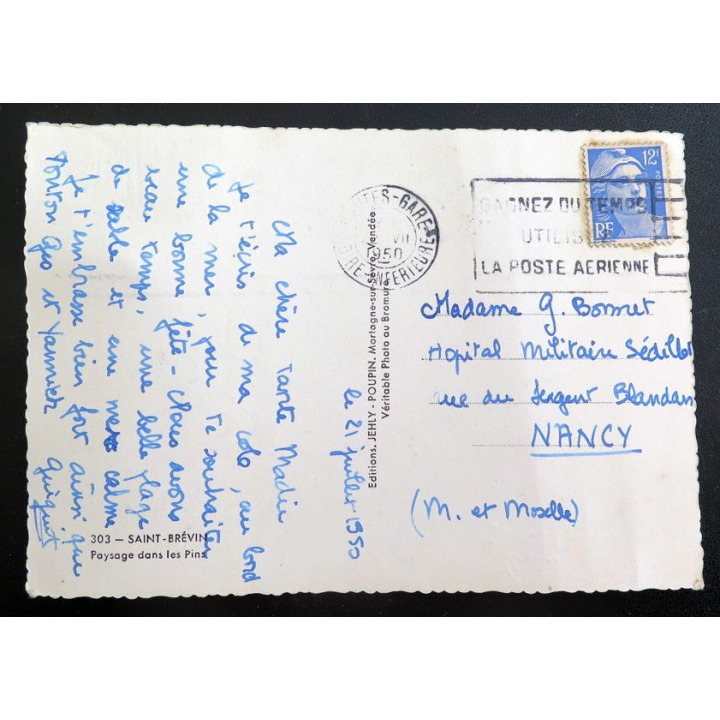 Carte postale n° 303 Saint-Brévin Paysage dans les pins 1950