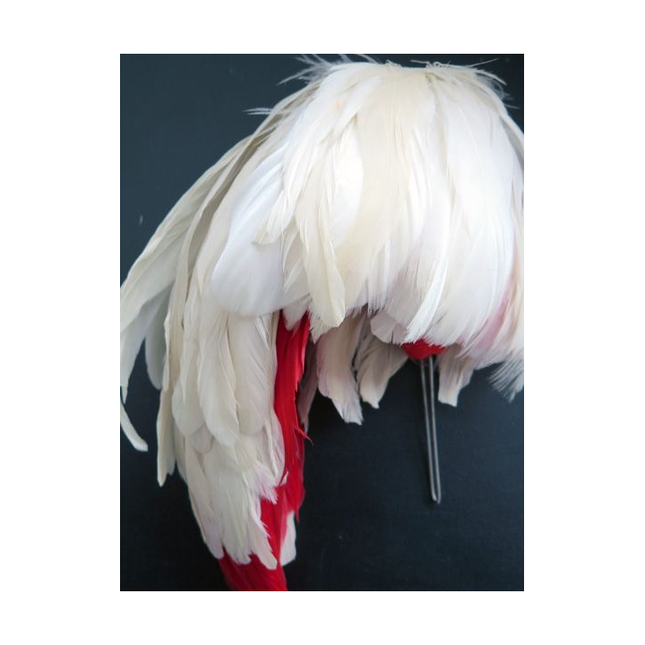 Plumet de shako de Saint Cyrien 