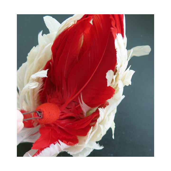 Plumet de shako de Saint Cyrien 