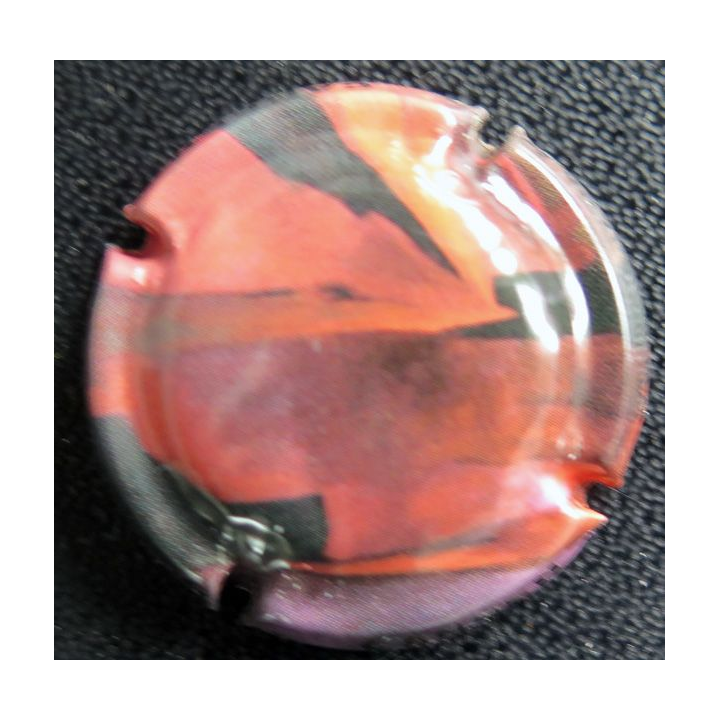 Capsule Muselet de VAL DE LOIRE CANCEN n° 31?