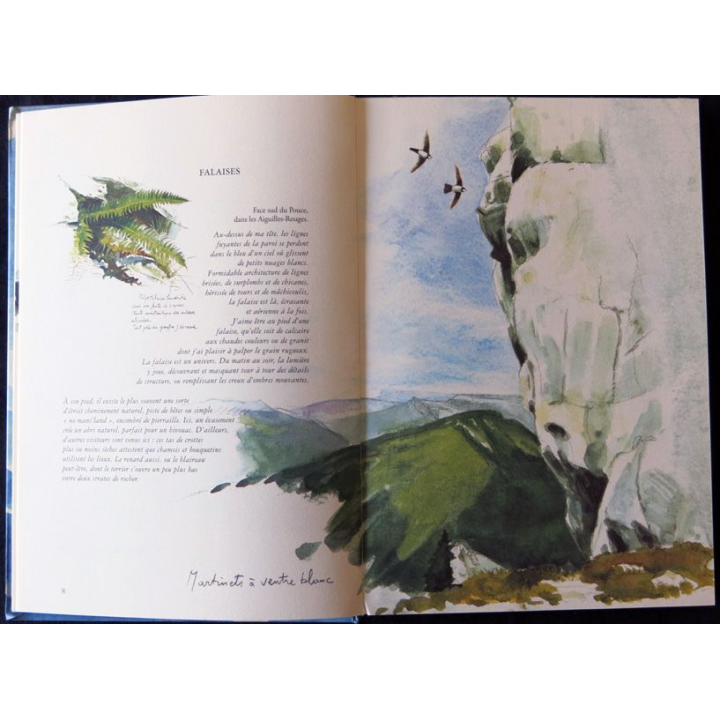 Carnets naturalistes autour du Mont Blanc de Eric Alibert, Jean-François Desmet,Daniel Arigno aux Editions Nathan