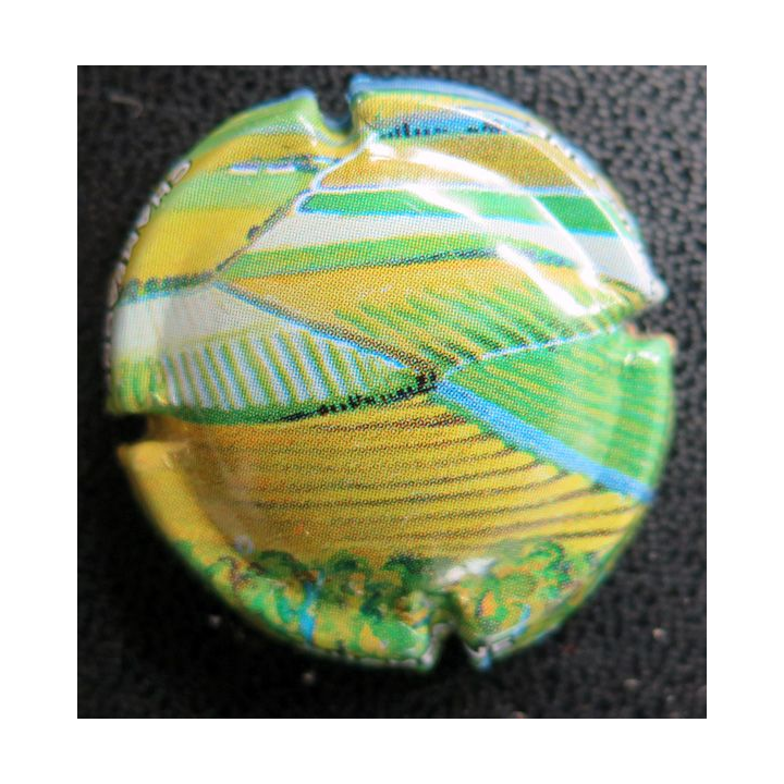 Capsule Muselet de bouteille de champagne GÉNÉRIQUE n° 939b couleurs de Champagne 
