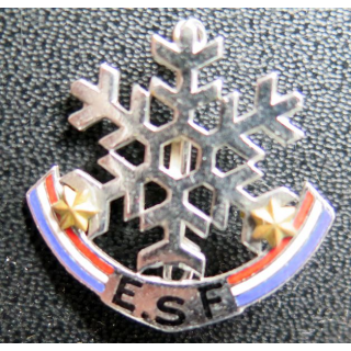 ESF : brevet de l'école du ski français 2 étoiles