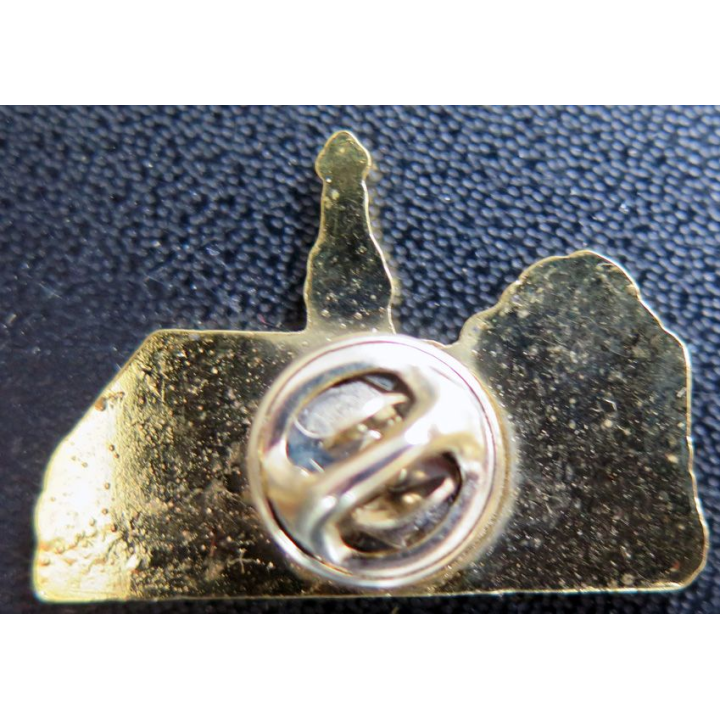 Pin's de Notre Dame du Bon secours