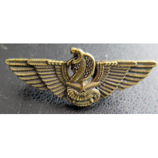 CPIS : réduction du Brevet moniteur de combat spécialisé CTE bronze du CPIS avec attaches pin's