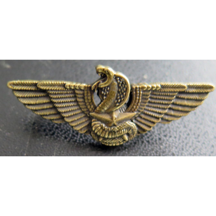 CPIS : réduction du Brevet moniteur de combat spécialisé CTE bronze du CPIS avec attaches pin's