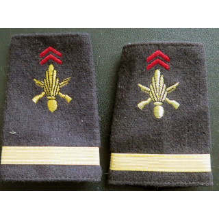 Paire de fourreau d'épaule d'e sous lieutenant de l'Infanterie longueur 8,5 cm 