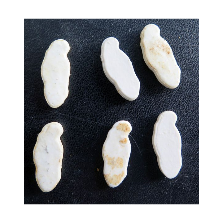 Lot de 6 Fèves type perroquets en céramique