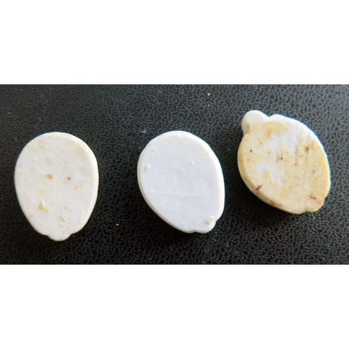 Lot de 3 Fèves type fer à cheval et feuille de chêne en céramique