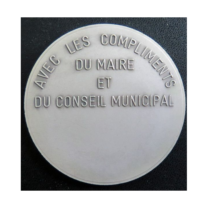 Médaille de la ville de Saint-Nicolas de la Haye Seine Maritime