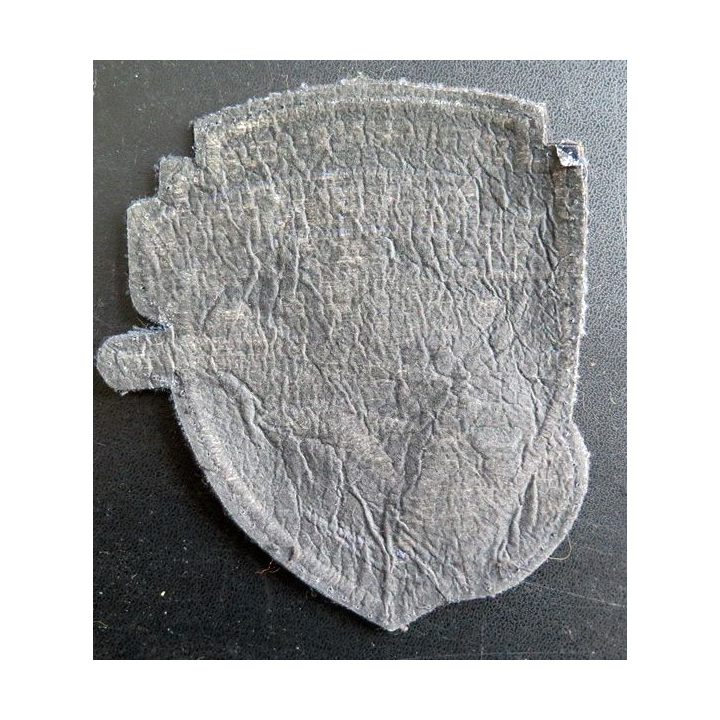 Insigne tissu Territorial Rescue Camps space 13,5 x 12 cm