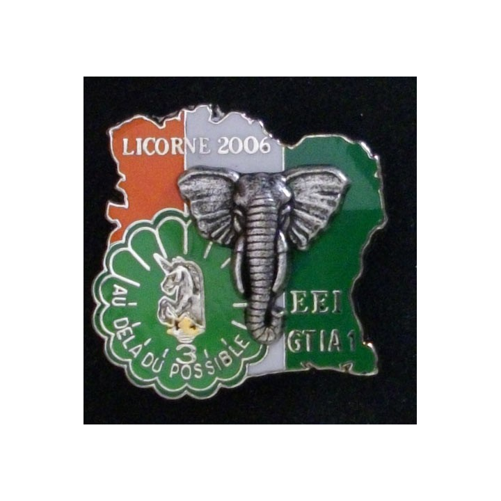 1° RHP : 1° RÉGIMENT DE HUSSARDS PARA 3° ESC LICORNE 2006 EEI GTIA