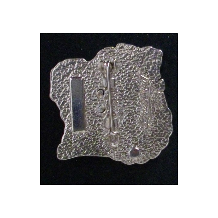 1° RHP : 1° RÉGIMENT DE HUSSARDS PARA 3° ESC LICORNE 2006 EEI GTIA