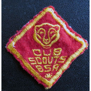 insigne de Club scouts BSA US