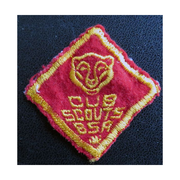 insigne de Club scouts BSA US