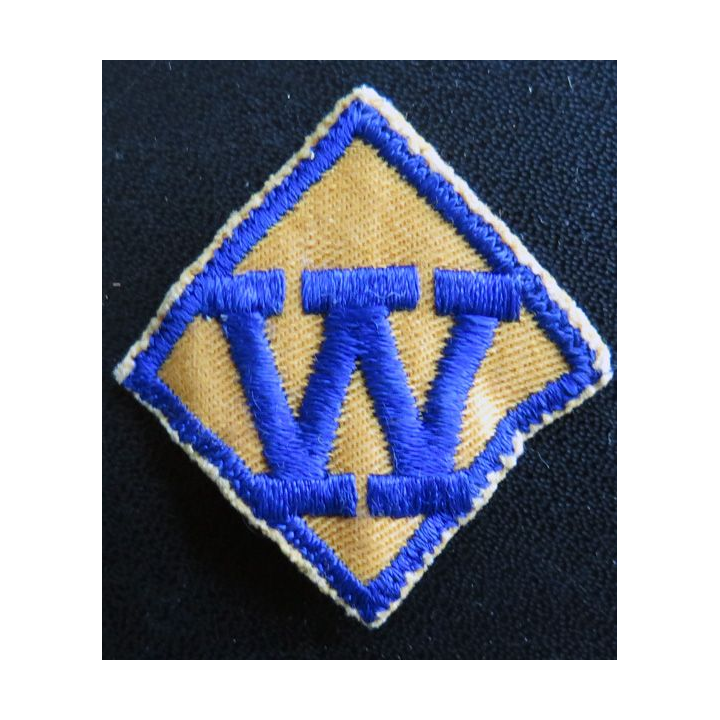 insigne tissu des Scouts Wolf Aventure et Requirements