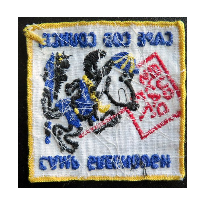 insigne tissu des Scouts Cape Cod Council Camp Greenough