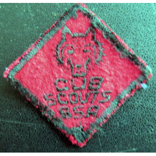 insigne de Club scouts BSA US