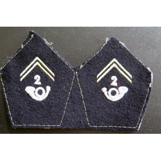 Paire de soutache ( insigne de col ) du 2° bataillon de chasseurs alpins en cannetille