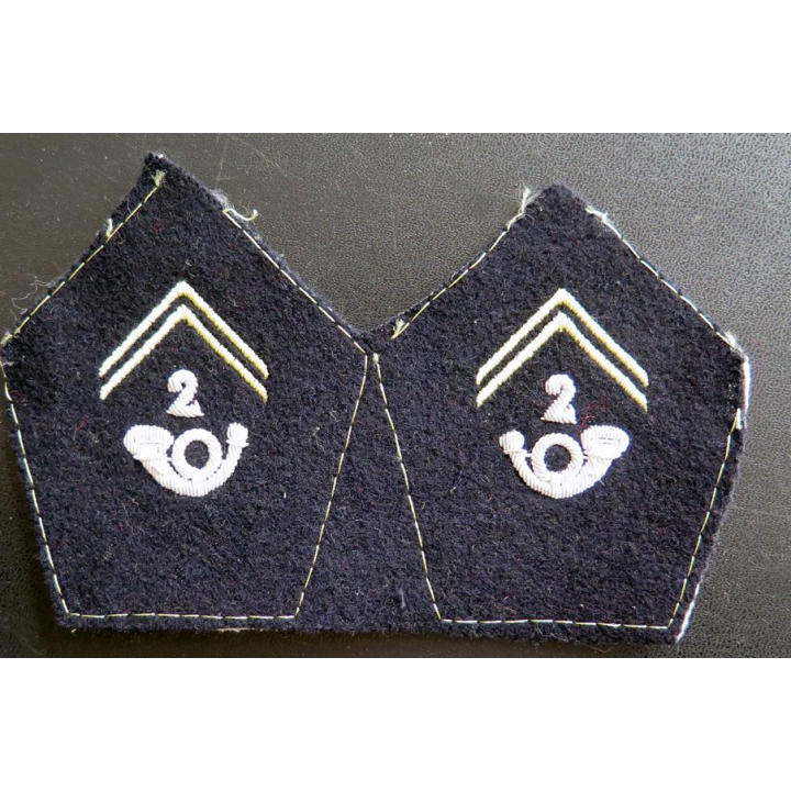 Paire de soutache ( insigne de col ) du 2° bataillon de chasseurs alpins en cannetille