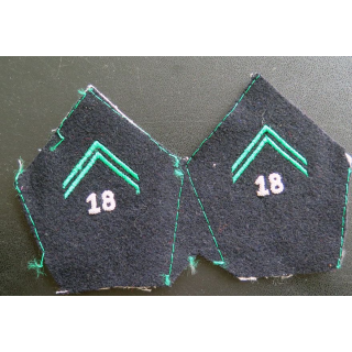 Paire de soutache ( insigne de col ) du 18° Régiment de chasseurs à Cheval en cannetille