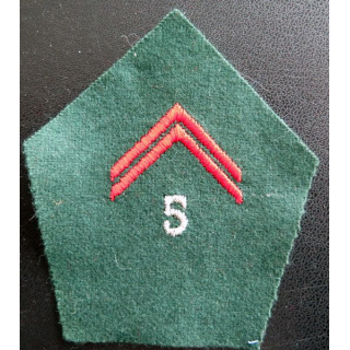 soutache (insigne de col) du 5° régiment du train en laminette argentée