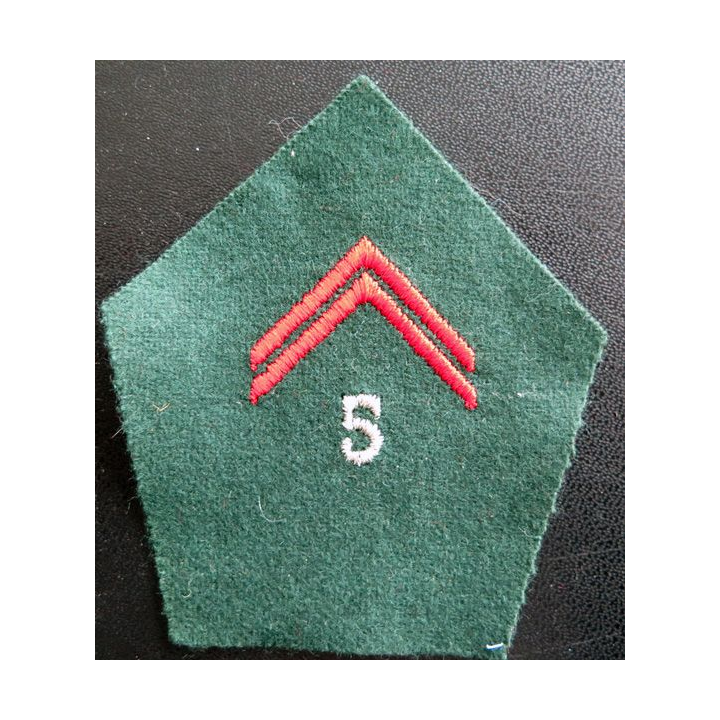 soutache (insigne de col) du 5° régiment du train en laminette argentée