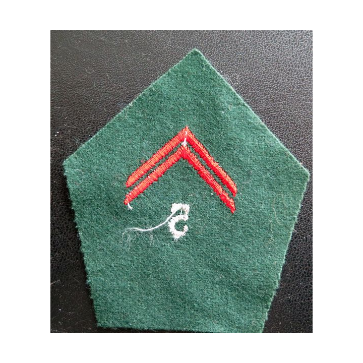 soutache (insigne de col) du 5° régiment du train en laminette argentée