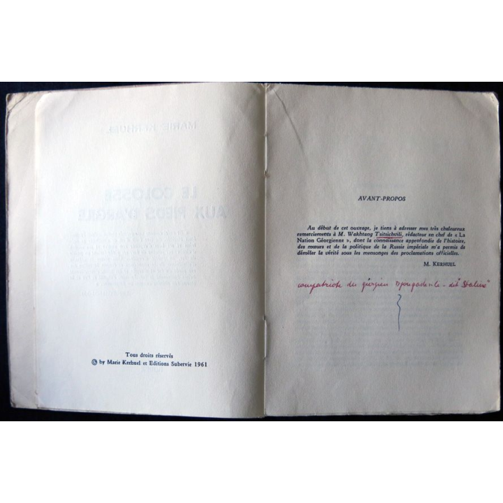Le colosse aux pieds d'argile de Marie Kerhuel aux Editions Subervie