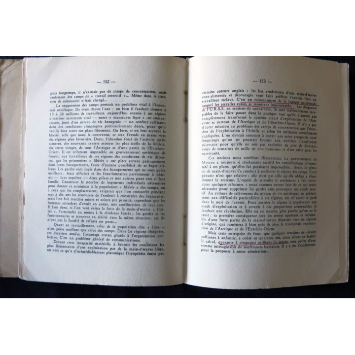 Le colosse aux pieds d'argile de Marie Kerhuel aux Editions Subervie