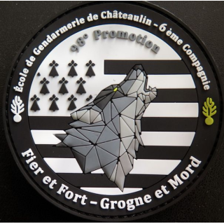 TISSU : insigne tissu de l'école de la Gendarmerie 6° Cie 98° promotion Châteaulin sur scratch