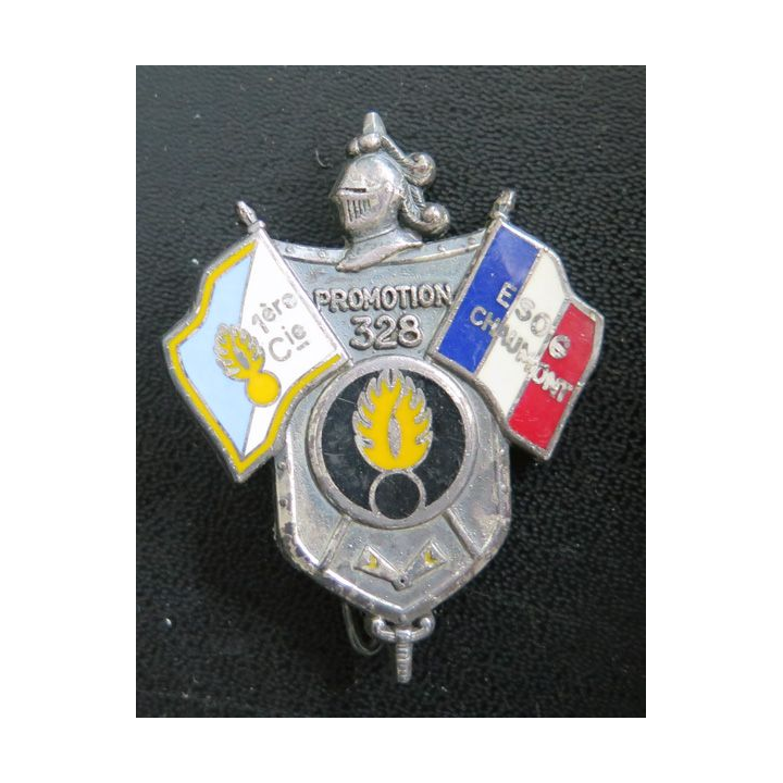 Insigne de Gendarmerie de la 328° Promotion 1° cie de l'ESOG Chaumont Drago Marne la Vallée