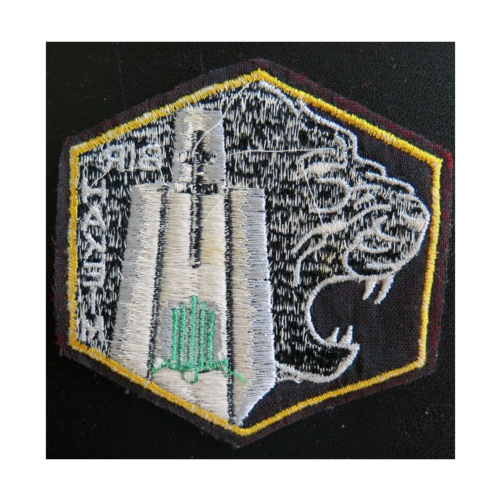 PMT : insigne tissu brodé de la préparation militaire Terre de Bir Hakeim Puteaux