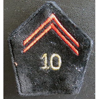 10° RG : paire de soutache (insigne de col) du 10° Régiment du génie
