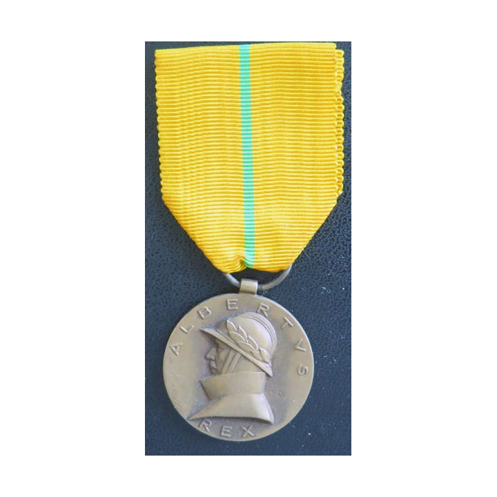 BELGIQUE : médaille des vétérans d'Albert 1° 1909-1934 en bronze