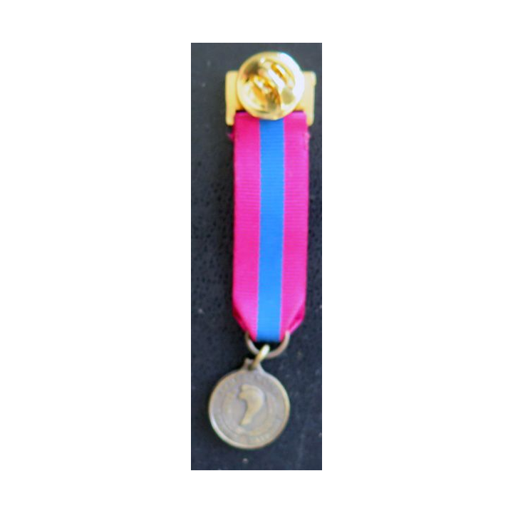FRANCE : médaille miniature de la défense nationale en bronze montée sur barrette pour spencer