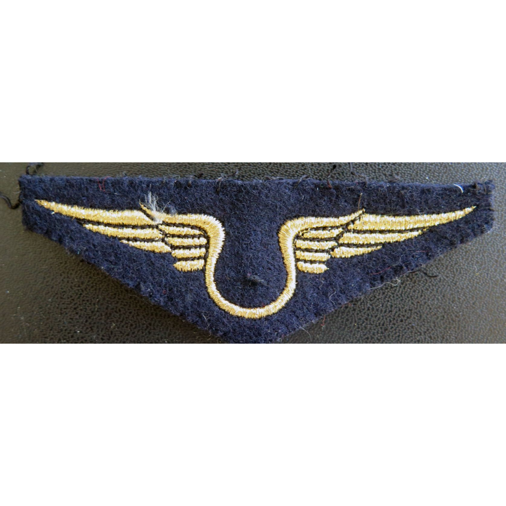 Insigne tissu de l'armée de l'air personnel non navigant en fils dorés