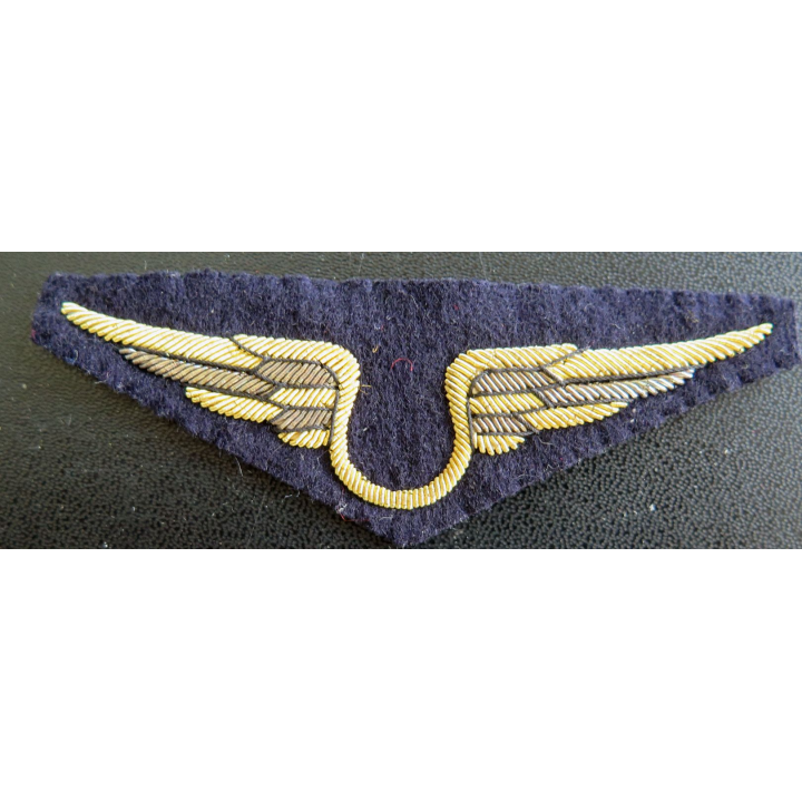 Insigne tissu de l'armée de l'air personnel non navigant en cannetille