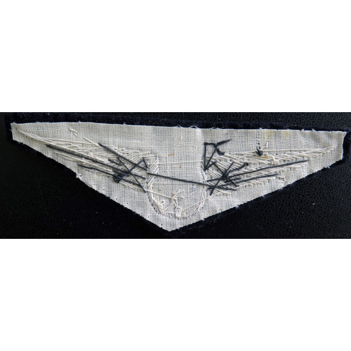 Insigne tissu de l'armée de l'air personnel non navigant en cannetille
