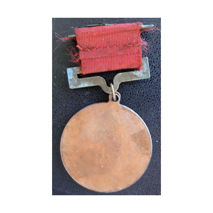 CHINE : Médaille de l'expédition du Nord contre les Seigneurs de la Guerre 1926 - 1927