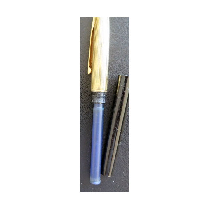stylo Waterman France collector plume fine