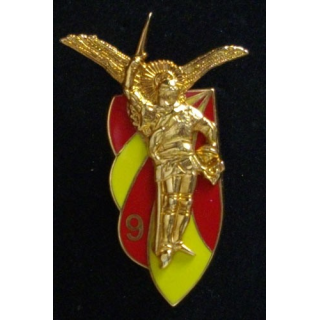 9° RCP : 9° RÉGIMENT DE CHASSEURS PARA FOND ROUGE ET JAUNE