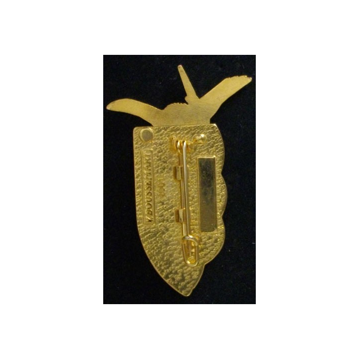 9° RCP : 9° RÉGIMENT DE CHASSEURS PARA FOND CARAMEL TRANSLUCIDE