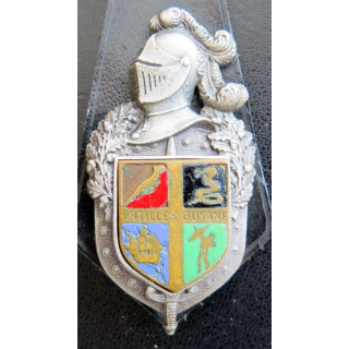 GENDARMERIE : vieil insigne de la Direction de la  gendarmerie d'Antilles Guyane avec écu lisse et doré émaillé sur cuir