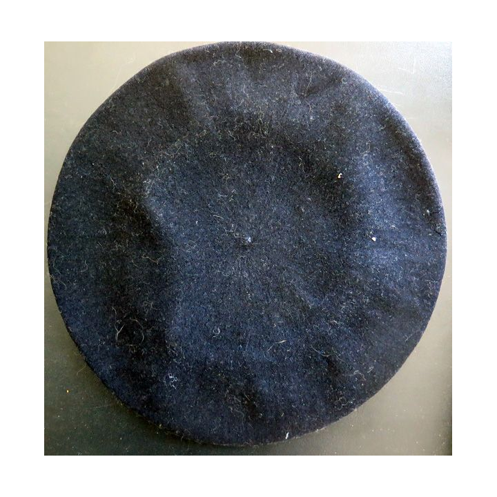 Tarte ou béret de Montagne des chasseurs alpins OLORON taille 57 avec insigne