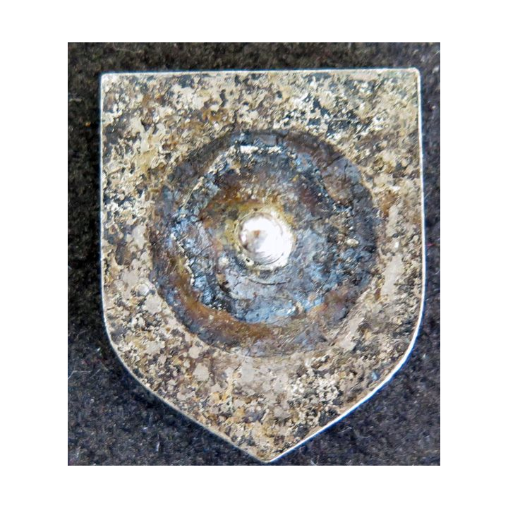 ECU de Gendarmerie : insigne métallique de l'écu de la 10° légion Bis mixte de gendarmerie sans vis