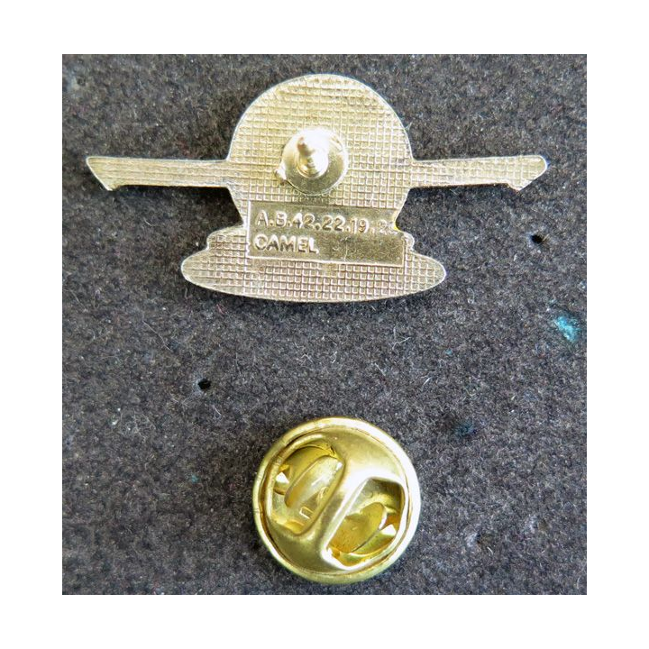 Pin's hydravion