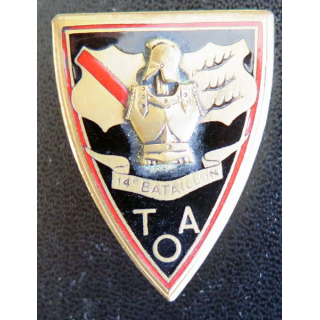 14° BG : 14° Bataillon du génie des Troupes d'occupation en Allemagne TOA Drago Béranger H. 530 en émail